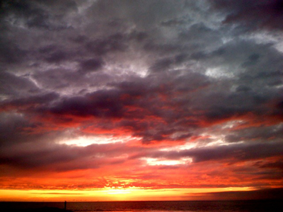 Image Concealment Films - MH Studios